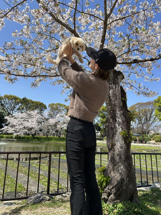 A@Web Works 制作者 天海 のプロフィール写真